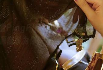 别小看PingPing的农历新年装，在线资源随时为你打开新世界的大门！