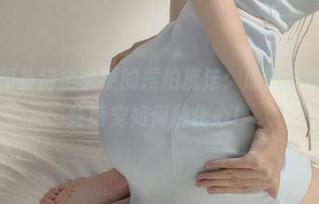 微密圈 – 相扑猫全季梗的摆拍魔法：原图分享，看看这些萌宠如何融化心！